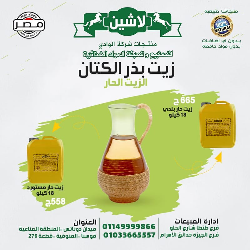 2019 · تشغيل الخطوط التركية